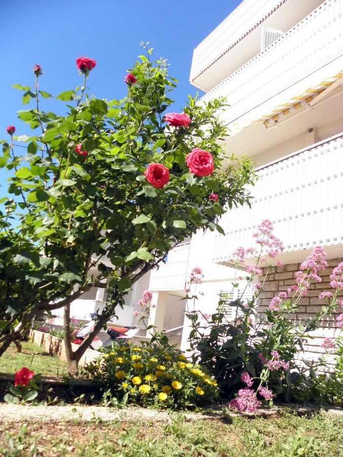 Apartments & Rooms Peranic Novalja Εξωτερικό φωτογραφία